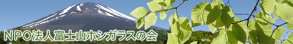 NPO法人富士山ホシガラスの会